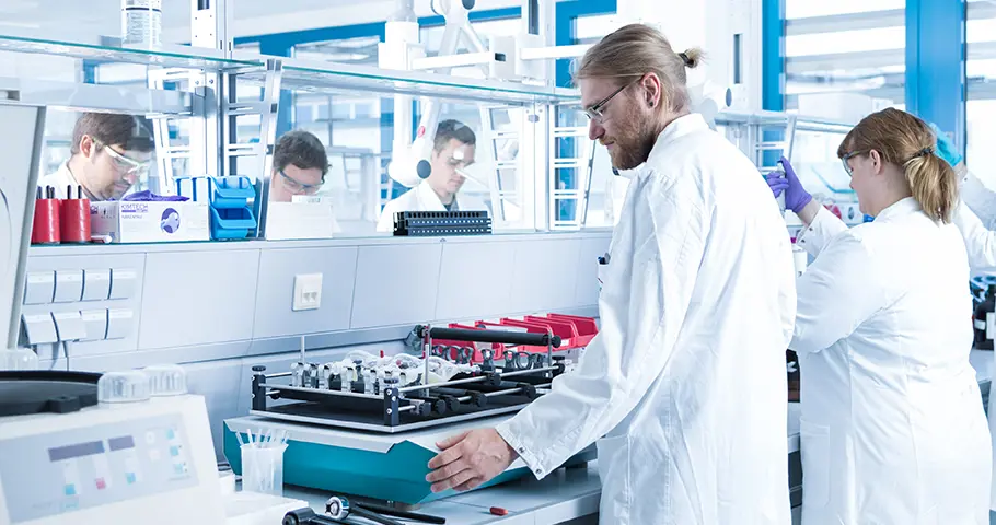 STADA jobs - Discover your opportunities